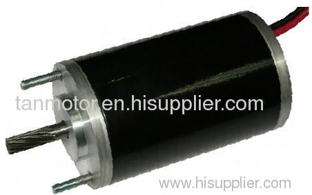 63ZYT110 PMDC Motor