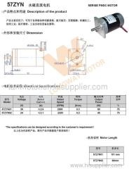 57ZYN PMDC Motor