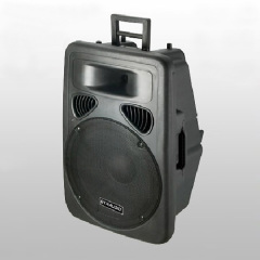 15" 2 Way Plastic Speaker Box