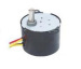 49TYD AC Synchronous Motor