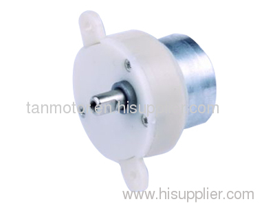 32mm Gear Motor 300