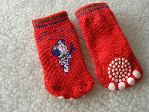 Pet Socks-WKWZ001_1