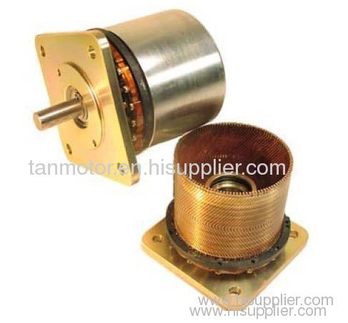 Brushless DC Motor