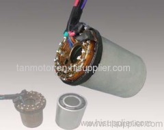 Brushless DC Motor