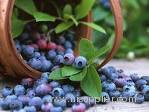 Bilberry Extract