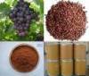 Grape seed extract