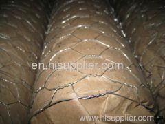 Galvanized hexagonal wire mesh of 10mm