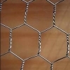 Galvanized Hexagonal Wire Mesh