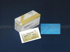 Chromic Catgut Suture