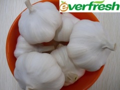 Fresh Chinese Garlic