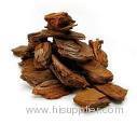 Pine Bark Extract