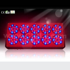 square LED grow lights