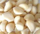 Garlic Extract (100:1)