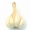 garlic extract Alliin