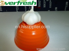 2011 10kg/carton fresh garlic