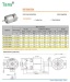 PMDC Gear Motor