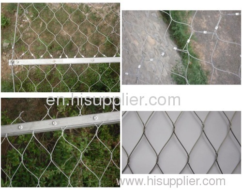 China animal enclosure zoo mesh cable mesh aviary mesh