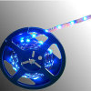 Led Strip Light