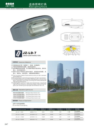 road lighting fixture induction lamp