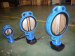 Butterfly Valve