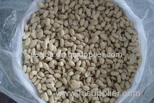 blanched peanut kernel peanut groundnut