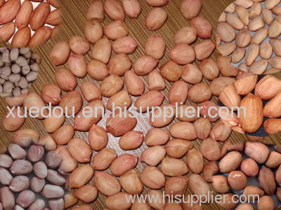 redskin peanut peanut groundnut