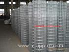 Hot -dipped Galvainzed welded wire mesh (factuary )