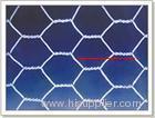 Hexagonal wire mesh