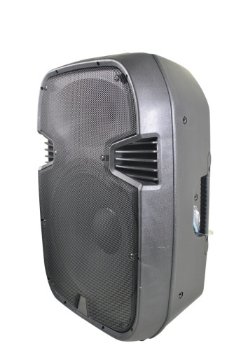 pro audio stage speakers