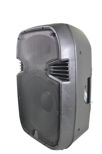 pro audio cabinet speakers
