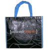 PP Non woven bag with PP web handle