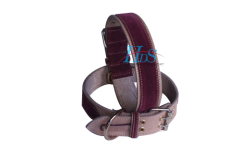 Dog collar