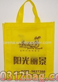 Supermarket Shopping Bag