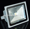 20W COB LED Floodlight