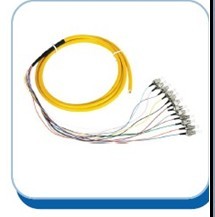MULTI-CORES PATCH CABLE