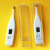 Digital Thermometer