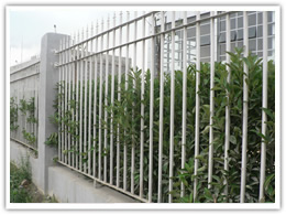 Garden Fencing