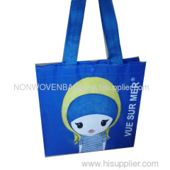 Non Woven environmental Bag