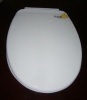 Slow Close Toilet Seat (SL-09)