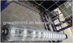 wire mesh fence