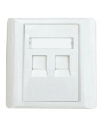 TWO PORTS WALL PLATE