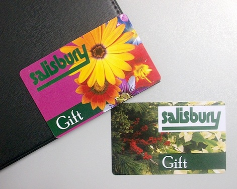 PVC gift card/ plastic gift card/ full color gift card printing