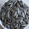 sunflower seeds American type 5009