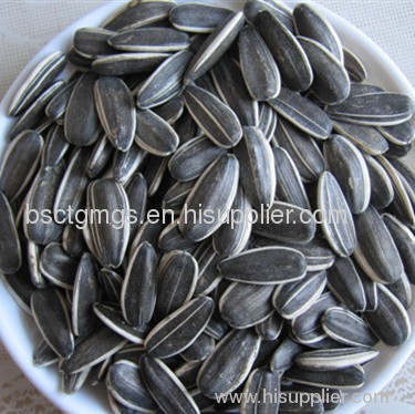 sunflower seeds American type 5009
