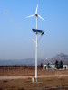 1KW solar panel wind turbine