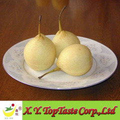 Chinese fresh Nashi pear,ya pear,asian pear of 2011 crop