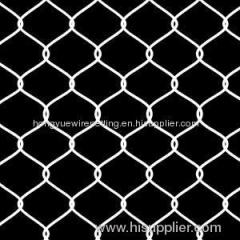 chicken coop hexagonal wire mesh