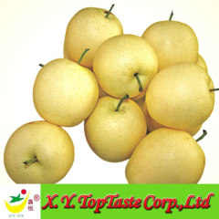 Chinese fresh golden pear,nashi pear, white pear of new crop