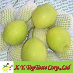 Shandong pear,green crip pear