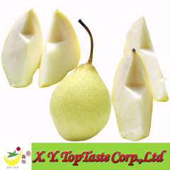 Chinese fresh ya pear,Nashi pear,asian pear of 2011